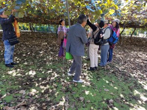 20161104_111127-1